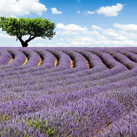 Hébergement de vacances Villas Du Luberon - La Des Saisons *